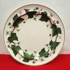 2026年最新】ナポレオンアイビーの人気アイテム - メルカリ