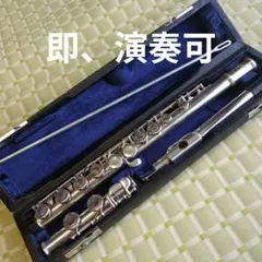 2026年最新】フルート kawaiの人気アイテム - メルカリ