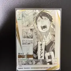 2026年最新】影山飛雄 頂Pの人気アイテム - メルカリ