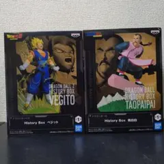 2026年最新】History Box ベジットの人気アイテム - メルカリ