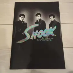 2026年最新】少年隊 パンフレットの人気アイテム - メルカリ