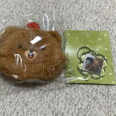 2026年最新】ヘチャン ぬいぐるみ イコムドの人気アイテム - メルカリ