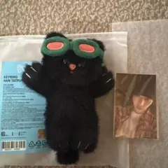 2026年最新】BOYNEXTDOOR キーリング テサンの人気アイテム - メルカリ