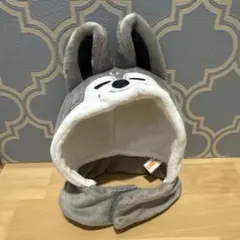 2026年最新】skzoo ペンライトカバー ウルフチャンの人気アイテム