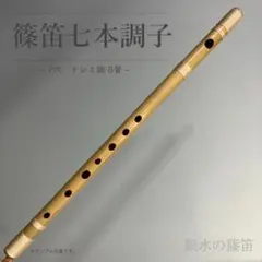 2026年最新】篠笛 唄の人気アイテム - メルカリ