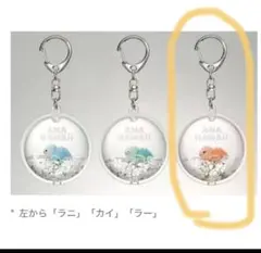 2026年最新】ana ホヌ キーホルダーの人気アイテム - メルカリ