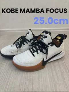 2026年最新】NIKEバインダーの人気アイテム - メルカリ