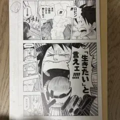 2026年最新】ワンピース 複製原画 ONEPIECE ビブルの秘宝の人気