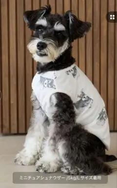 2026年最新】ジェラートピケ シュナウザーの人気アイテム - メルカリ