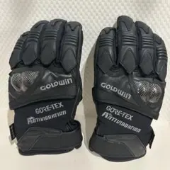 2026年最新】goldwin グローブ ゴアテックスの人気アイテム - メルカリ