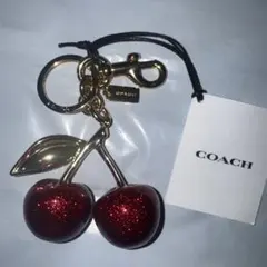 2026年最新】coach チェリー バッグの人気アイテム - メルカリ