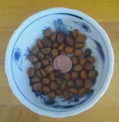 2026年最新】老爺柿種の人気アイテム - メルカリ