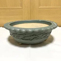 2026年最新】盆栽鉢 大型の人気アイテム - メルカリ