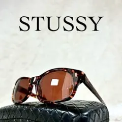 2026年最新】STUSSY レンズ特徴：カラーレンズ サングラスの人気