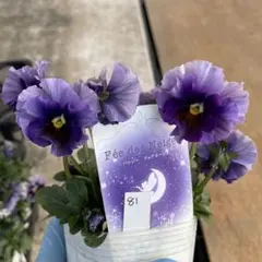 2026年最新】フェデネージュの人気アイテム - メルカリ