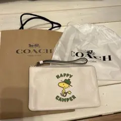 2026年最新】スヌーピー coach ポーチの人気アイテム - メルカリ