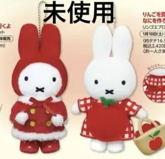 2026年最新】zakkaフェスタ ミッフィーの人気アイテム - メルカリ