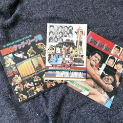 2026年最新】MSGタッグリーグ戦の人気アイテム - メルカリ