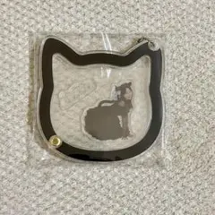 2026年最新】ファントムシータ アクキーの人気アイテム - メルカリ