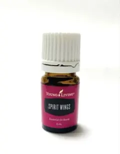 2026年最新】ヤングリビングの人気アイテム - メルカリ