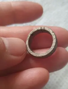 2026年最新】アルタイ隕石の人気アイテム - メルカリ