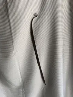 2026年最新】鰻掻きの人気アイテム - メルカリ