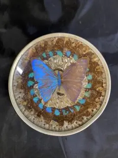 2026年最新】モルフォ蝶 皿の人気アイテム - メルカリ