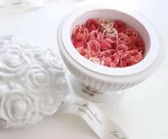 2026年最新】ラデュレ限定ポットピンクの人気アイテム - メルカリ