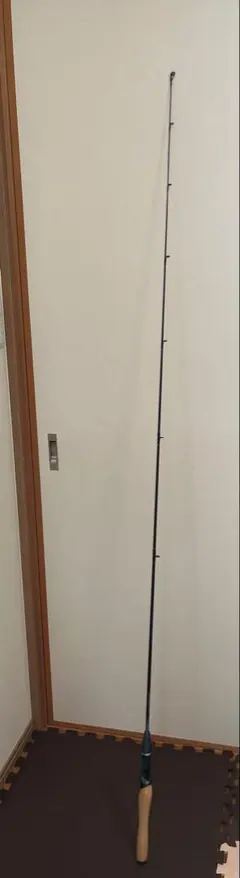 2026年最新】ダイワ td-s ロッドの人気アイテム - メルカリ