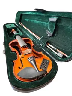 2026年最新】エレキバイオリン CV 210Eの人気アイテム - メルカリ