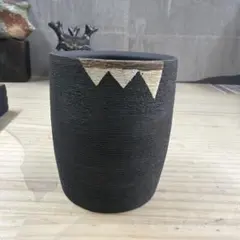 2026年最新】パキプス 鉢の人気アイテム - メルカリ