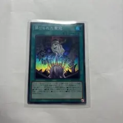 2026年最新】禁じられた聖冠の人気アイテム - メルカリ