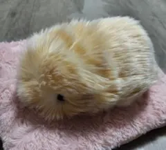 2026年最新】モフリン ゴールドの人気アイテム - メルカリ