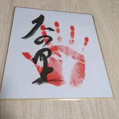 2026年最新】大の里 サインの人気アイテム - メルカリ