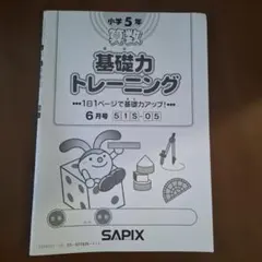 2026年最新】基礎力トレーニング サピックスの人気アイテム - メルカリ