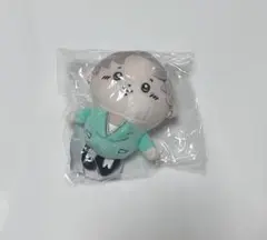 2026年最新】髙松アロハ ぬいぐるみの人気アイテム - メルカリ