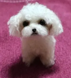 2026年最新】羊毛フェルト マルチーズの人気アイテム - メルカリ