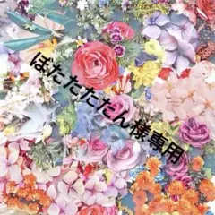 2026年最新】タンクッションエクラ ルミヌ ケースの人気アイテム