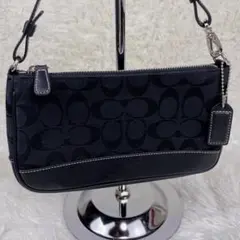 2026年最新】コーチ シグネチャー 6094の人気アイテム - メルカリ