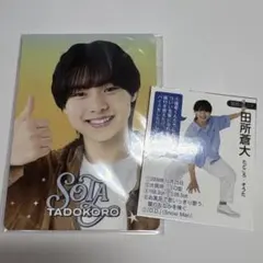 2026年最新】田所蒼大の人気アイテム - メルカリ