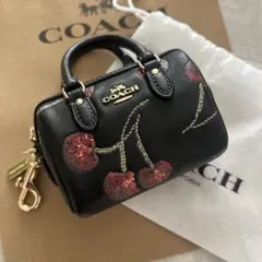 2026年最新】coach キーホルダー さくらんぼの人気アイテム - メルカリ