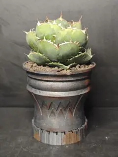 2026年最新】ジャガーノート破壊神錦の人気アイテム - メルカリ