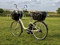 2026年最新】ヤマハpas naturaの人気アイテム - メルカリ