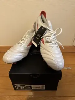 2026年最新】モレリアネオ4 限定色の人気アイテム - メルカリ