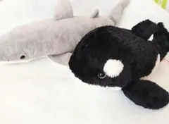 2026年最新】シャチ 歯の人気アイテム - メルカリ