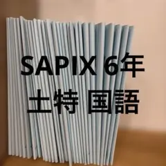 2026年最新】サピックス6年の人気アイテム - メルカリ