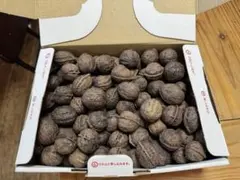 2026年最新】鬼クルミの人気アイテム - メルカリ