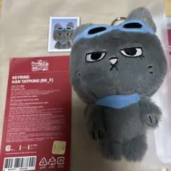 2026年最新】Boynextdoor テサン キーリングの人気アイテム - メルカリ