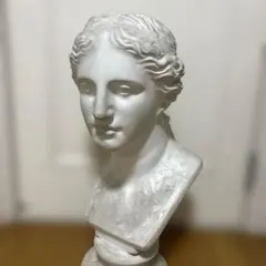 2026年最新】ミロ ビーナスの人気アイテム - メルカリ