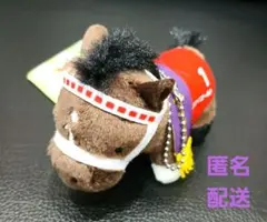 2026年最新】ステイゴールド ぬいぐるみの人気アイテム - メルカリ